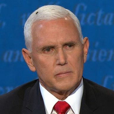 Viewers around the country took notice when a fly landed on Vice President Mike Pence's white hair.