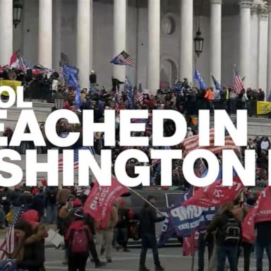 Pro-Trump protestors breach Capitol