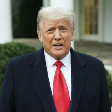 ‘Go home. We love you’: Trump to protesters