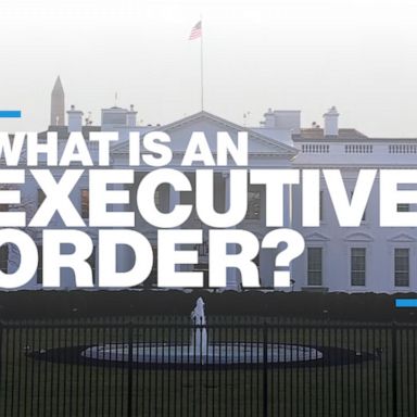 The Constitution states that "executive power shall be vested in a president of the United States of America."