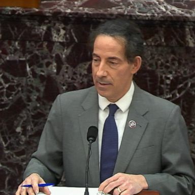 VIDEO: Lead House impeachment manager Jamie Raskin makes his case against Trump 