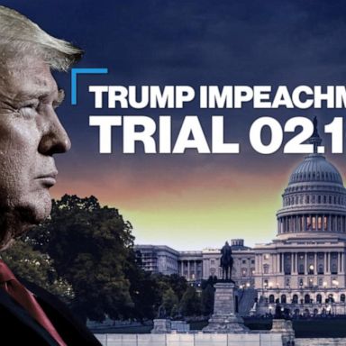 VIDEO: Trump impeachment trial: Day 2 key moments