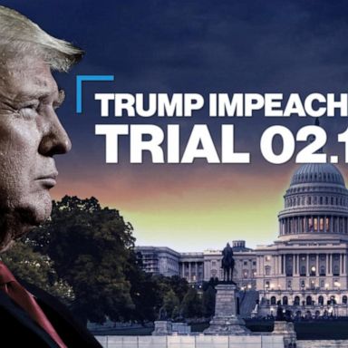 VIDEO: Trump impeachment trial: Day 3 key moments