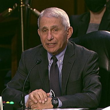 Dr. Anthony Fauci discusses herd immunity and the possibility of children being vaccinated in the future.