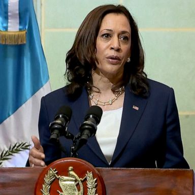 Vice President Kamala Harris sat down with Mexican president Lopez Obrador in an effort to combat the migrant crisis on the southern border.