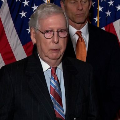 Senate Minority Leader Mitch McConnell took issue with the RNC "singling out members of our party."