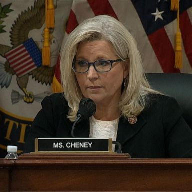 VIDEO: Former President Trump called Jan. 6 committee witness: Rep. Cheney