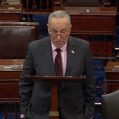 Senate Majority Leader Chuck Schumer said during a floor speech that he was "really impressed by how much bipartisan support it got in the House." 