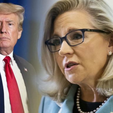 VIDEO: Rep. Liz Cheney faces Trump-backed challenger in Wyoming primary