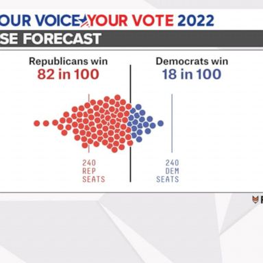 VIDEO: Polls show voters' main focuses this election are the economy, inflation