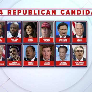 VIDEO: 3 more candidates enter the race for president 