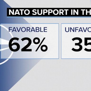 VIDEO: Polls show drop in approval of NATO 