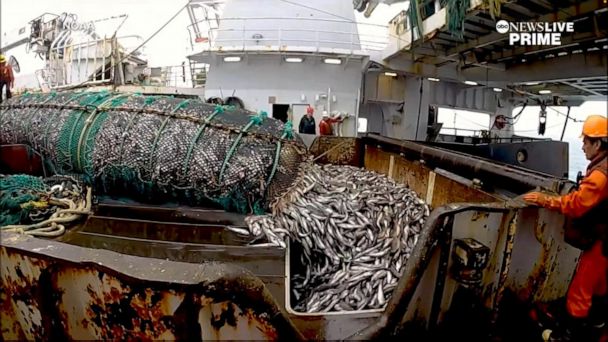 abc news fishing net Fishermen's Supreme Court fight against government monitors could make big  splash