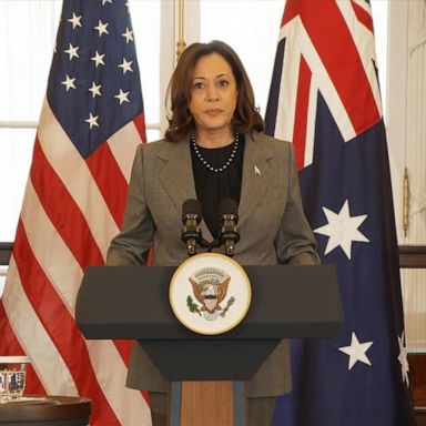 "It does not have to be this way, as our friends in Australia have demonstrated," Vice President Harris said at a state luncheon honoring Australian PM Anthony Albanese. 