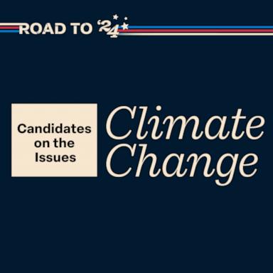 The 2024 U.S. presidential election may prove to be the most pivotal in the country's fight against climate change.