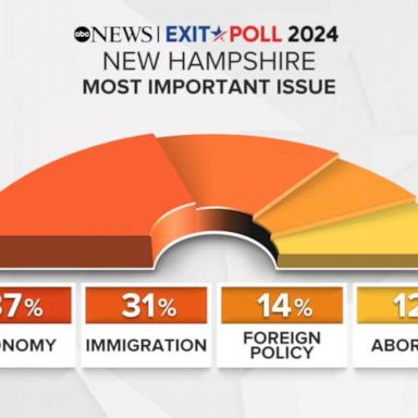 VIDEO: What issue was important to New Hampshire voters?