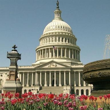 VIDEO: Senate conservatives vow to halt upper chamber in protest of Trump verdict