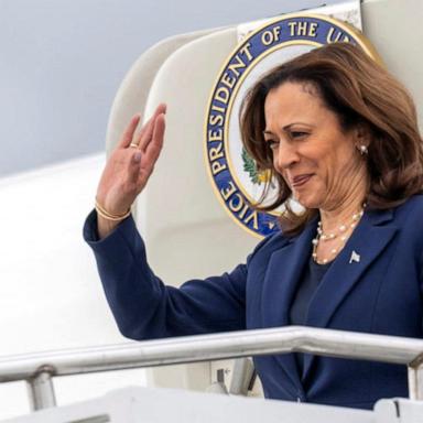 VIDEO: Former DNC chair: Harris ‘would be strongest candidate’