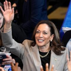 VP Harris to unveil first-ever ban on price gouging