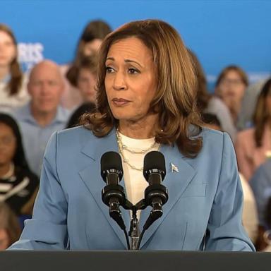 VIDEO: Analyzing Harris’ plan to end price gouging and create tax credits for families