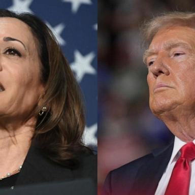 VIDEO: Trump ‘should be concerned' about Harris, former Trump administration official says