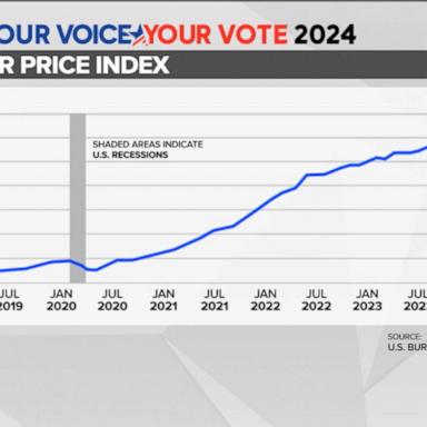 VIDEO: Economic anxiety weighs on swing state voters