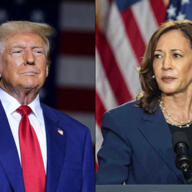 VIDEO: What major challenges do Harris and Trump face in highly anticipated debate?