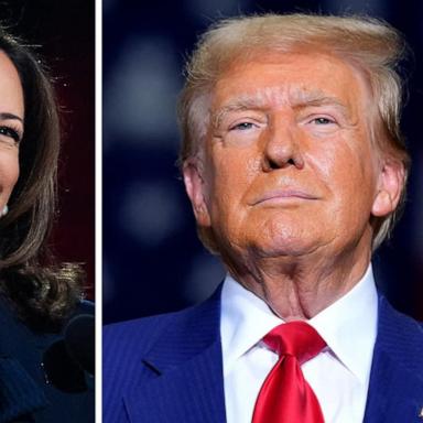 New polling shows Trump and Harris in dead heat