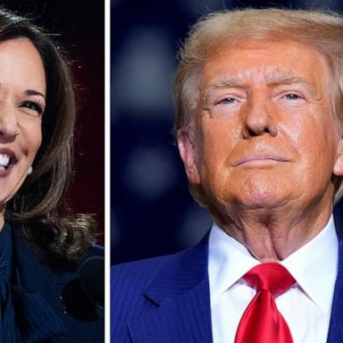 VIDEO: Harris, Trump make final plea to undecided voters