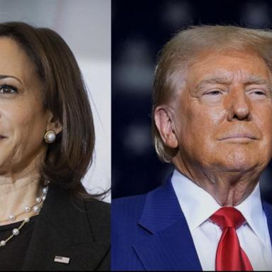 VIDEO: Poll shows Harris regains slight lead in battleground states