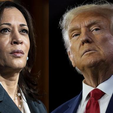 VIDEO: Harris slams Trump's MSG rally and comedian's Puerto Rico comments