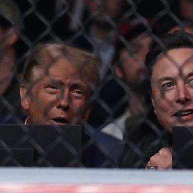 VIDEO: Trump attends UFC 309 in New York City