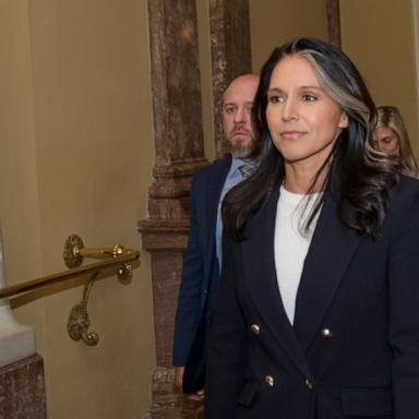 Tulsi Gabbard rejected reports that Senate support for her director of national intelligence vote is lackluster as she returned to the Hill Wednesday.