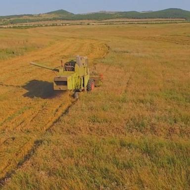 VIDEO: Trump Tariffs 'devastating to farmers,' says Iowa livestock farmer