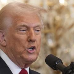 Are high-stakes elections in Wisconsin and Florida a litmus test for Trump and Musk?
