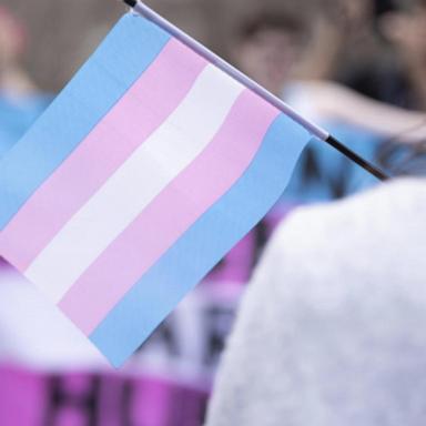 VIDEO: Trump asks Supreme Court to lift block on transgender military ban