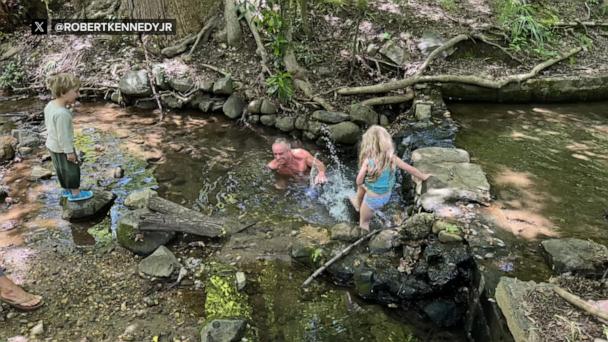 Robert F. Kennedy Jr. submerges in creek with high bacteria levels, including E. coli