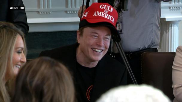 Musk: I don't 'want to take responsibility for everything the administration's doing'