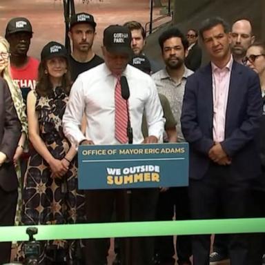 Nine Democrats who wish to be New York City's next mayor sparred over how they'd work or tangle with Donald Trump, public safety, affordability, and other topics.
