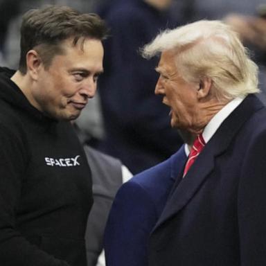 A war of words between Elon Musk and President Trump has erupted into a full meltdown, and people online are taking notice.