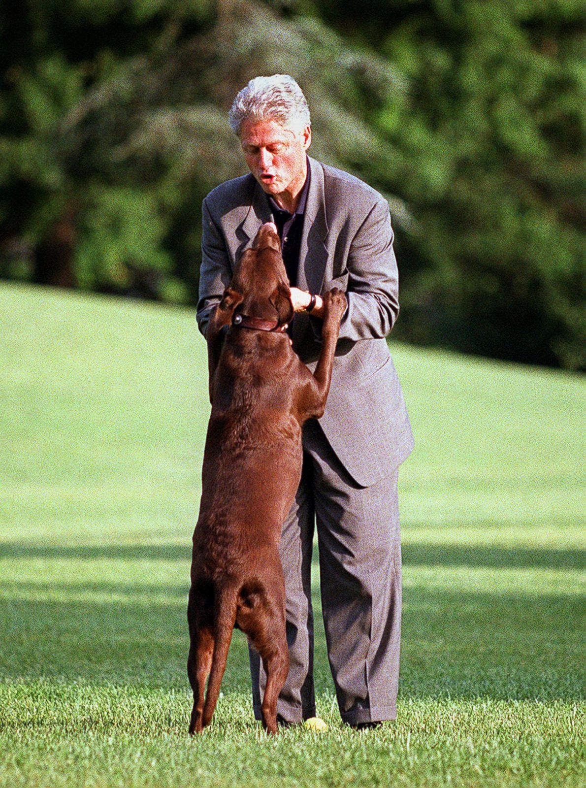 Presidential Pets: Paws In The White House - ABC News