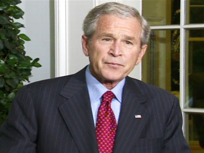 pic of president bush at the white house discussing bailout