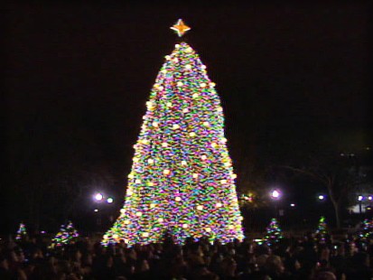 pic of the national christmas tree