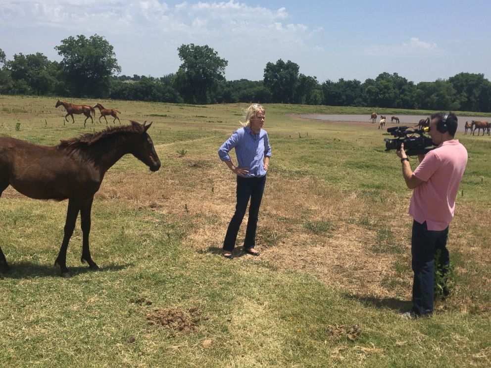 PHOTO: ABC News' Martha Raddatz at a ranch in Ardmore, Oklahoma during a week-long road trip talking to voters across America, July 12, 2016.