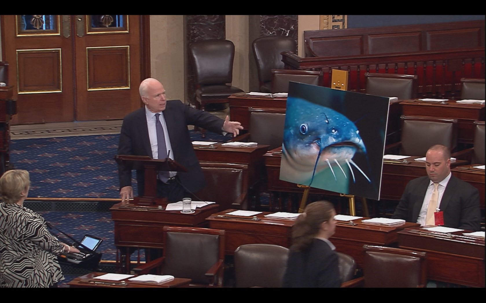PHOTO: Sen. John McCain, R-Arizona, talks about repealing USDA catfish inspection program.