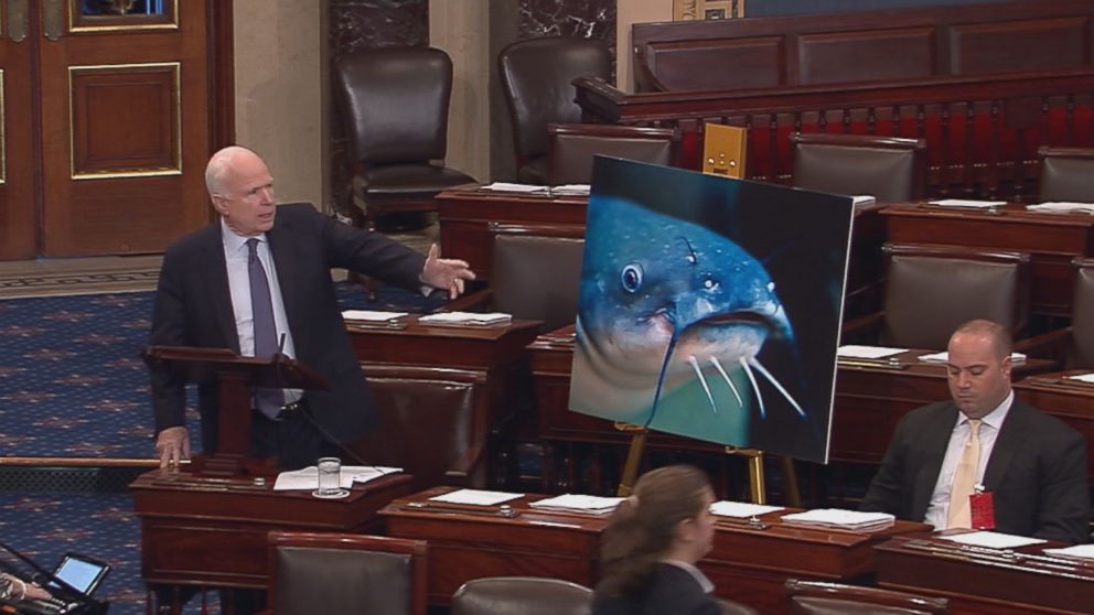 Sen. John McCain, R-Arizona, talks about repealing USDA catfish inspection program.