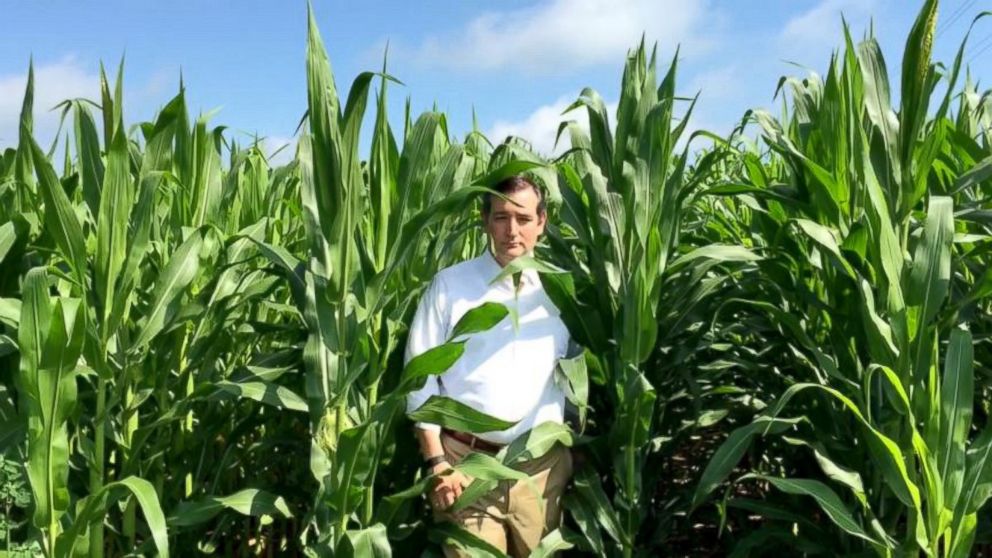 Presidential candidate and Texas Sen. Ted Cruz visited the baseball field in Dyersville, Iowa made famous in the 1989 movie, "Field of Dreams."