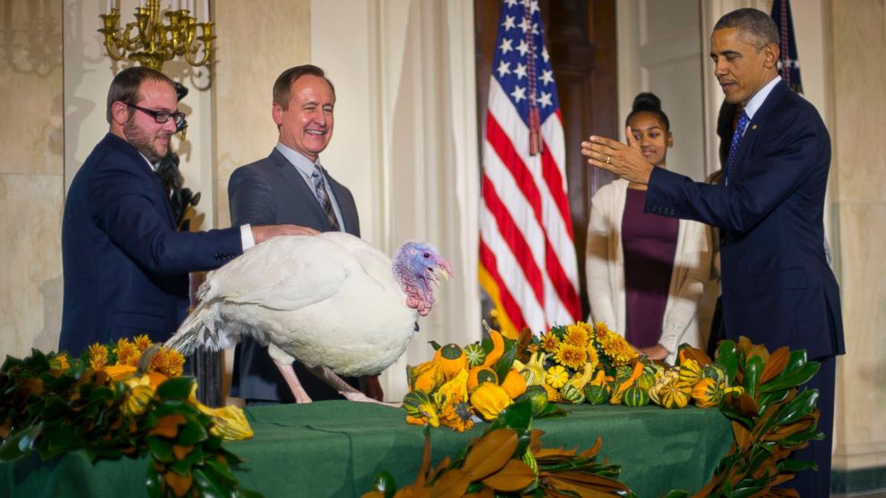 President Barack Obama, right, with daughter Sasha, carries on the Thanksgiving tradition of saving a turkey from the dinner table with a "presidential pardon" of 'Cheese' in the Grand Foyer of the White House in Washington, Nov. 26, 2014. 