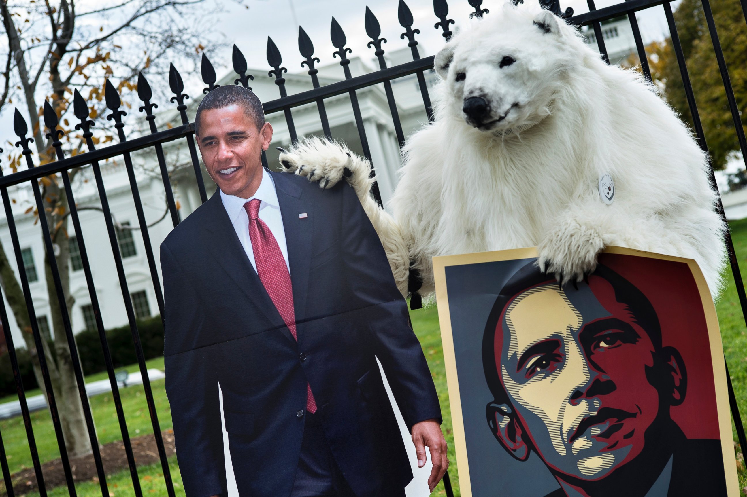 PHOTO: A protester dressed as a polar bear stands outside the White House grounds with posters on Pennsylvania Avenue Nov. 22, 2013 in Washington, DC.