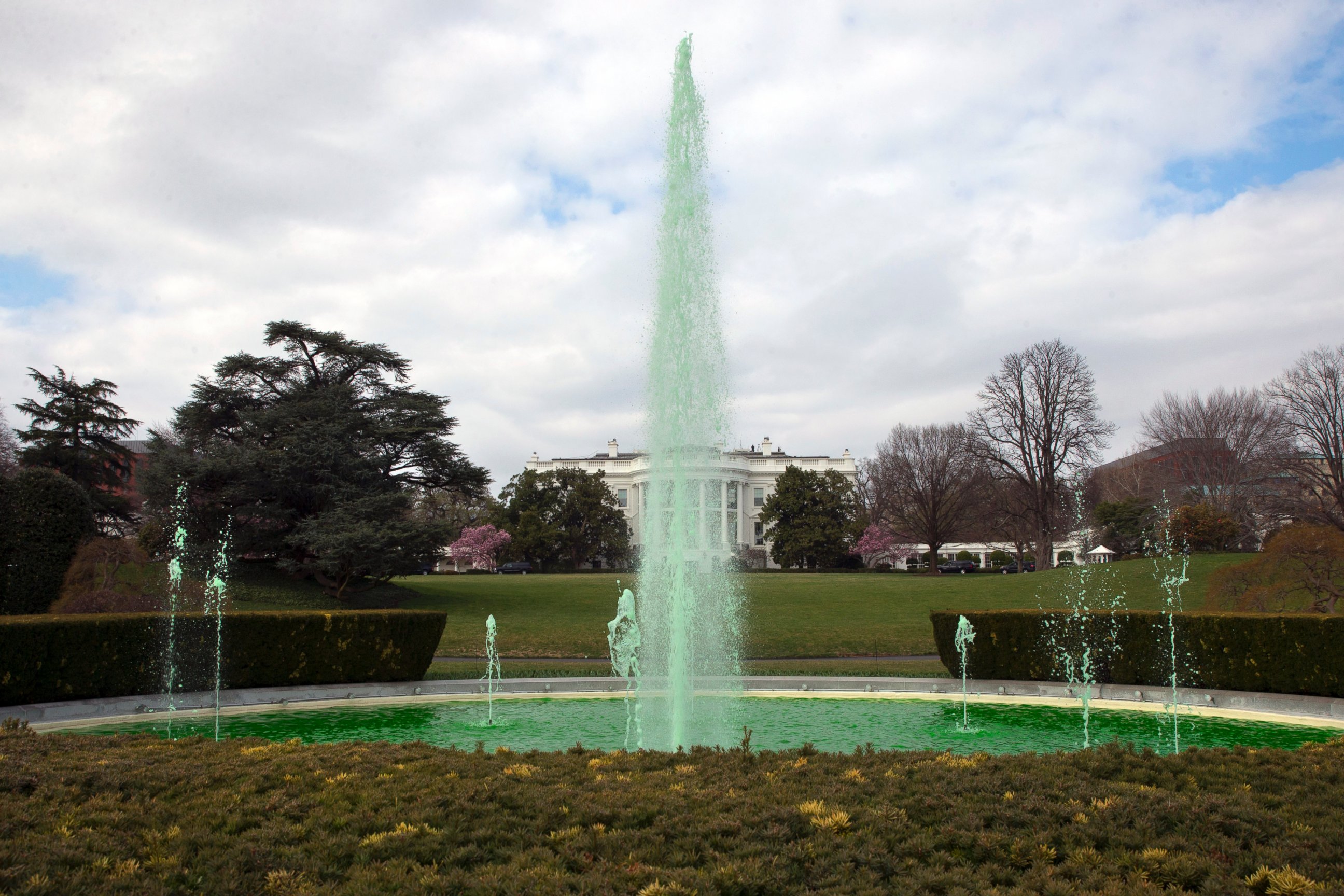 PHOTO: The fountain on the South Lawn of the White House has been dyed green in honor of St. Patrick's Day before a reception in the White House in Washington, March 15, 2016.